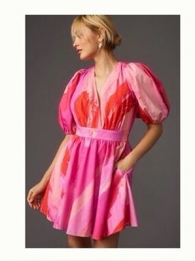 Hutch Pink & Red V-Neck Puff Sleeve Mini Dress